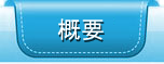 概要
